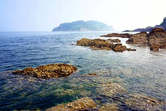 国际原子能机构对乌四座核电站进行常驻代表团定期轮换